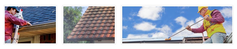  roof cleaning costs